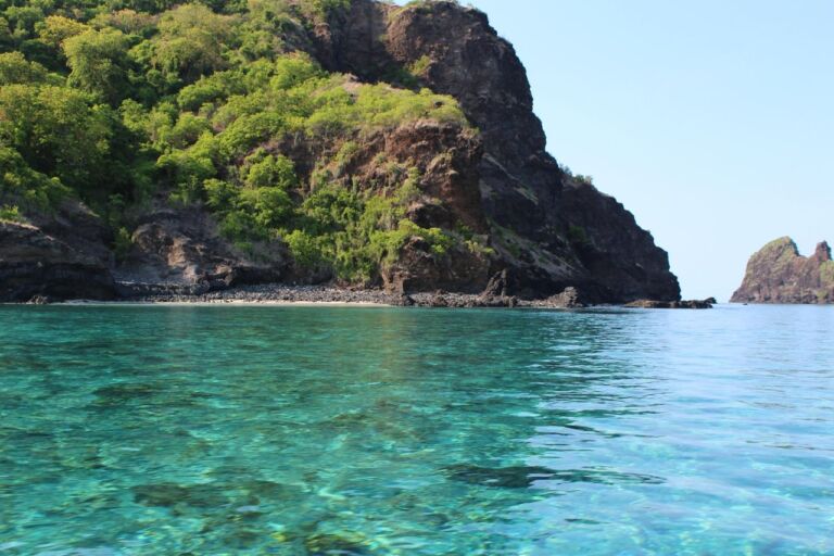A serene coastal landscape with lush greenery covering a rocky cliff, meeting crystal-clear turquoise water under a bright blue sky, with another rocky formation in the distance.